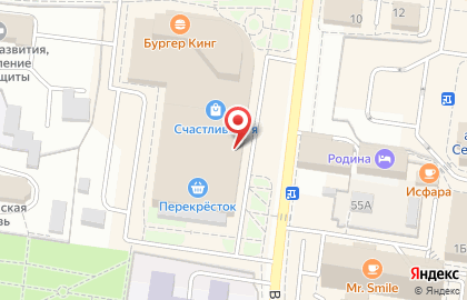 Зоомагазин ЧЕТЫРЕ ЛАПЫ на Вознесенской улице на карте
