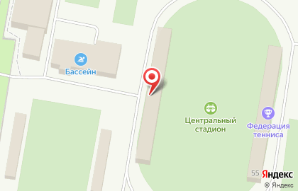 Центральный стадион им. В.И. Ленина на карте