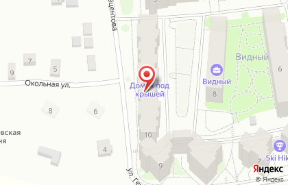 Зоомагазин Зоомир в Пскове на карте
