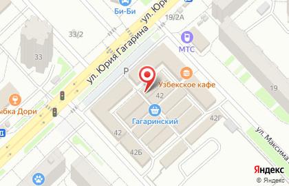 Лавка по продаже колбасных изделий и сыров на улице Юрия Гагарина на карте