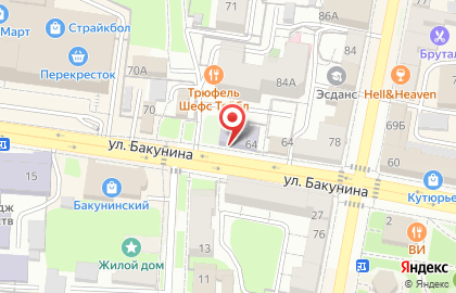 Детская художественная школа №3 на улице Бакунина на карте