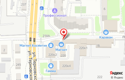 Мастерская по ремонту обуви на ул. Терновского, 220 на карте