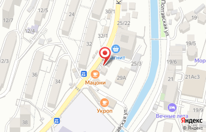 Продовольственный магазин в Центральном районе на карте