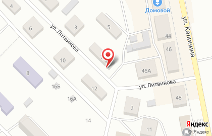 Городская детская библиотека на улице Литвинова на карте