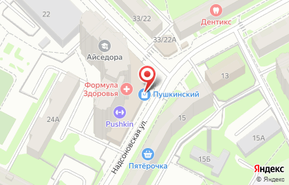 Автолицей в Пушкино на карте