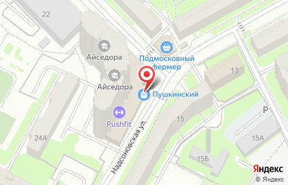 Автолицей в Пушкино на карте