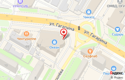 Туристическая компания Саквояж на улице Гагарина на карте