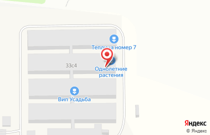 Садовый центр odnoletnie на карте
