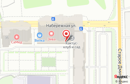 Частный детский сад и клуб Cactus club на Старом Дмитровском шоссе  на карте