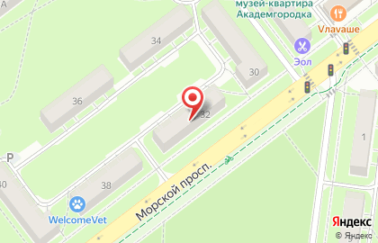 Цветочный домик на Морском проспекте на карте