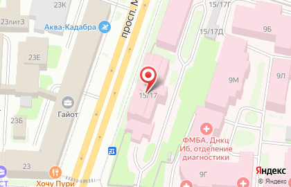 НИИ гриппа им. А.А. Смородинцева на карте