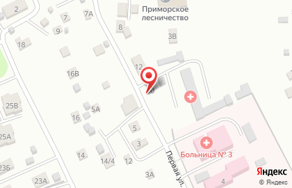 Взрослая поликлиника, Городская больница №3 в Советском районе на карте