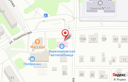Березниковская ветеринарная лечебница на карте