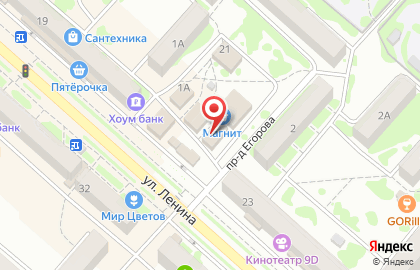 Гастроном на улице Ленина на карте