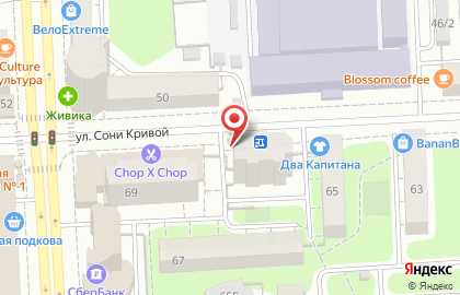 Сеть по продаже печатной продукции Роспечать на улице Сони Кривой, 69 киоск на карте