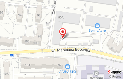 Шинный центр Привоз на улице Маршала Борзова на карте