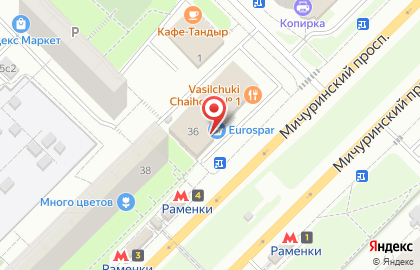 Киоск фастфудной продукции на Мичуринском проспекте на карте