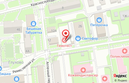 Медицинская лаборатория Гемотест на Ремесленной улице на карте