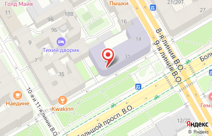 Институт высокомолекулярных соединений РАН на карте