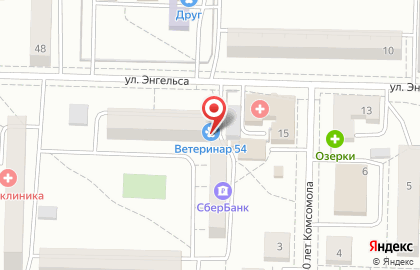Ветеринарная клиника Ветеринар 54 в Советском районе на карте