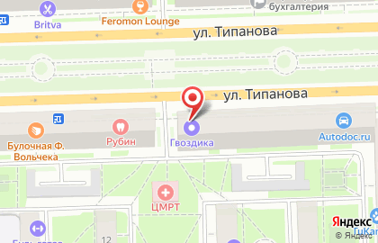 Ритуальное агентство Гвоздика на улице Типанова 18 на карте
