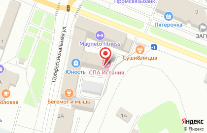 Центр молодежного инновационного творчества Генезис на Профессиональной улице на карте