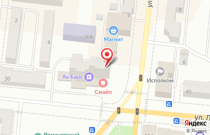 Стоматологический кабине Смайл на улице Ленина на карте