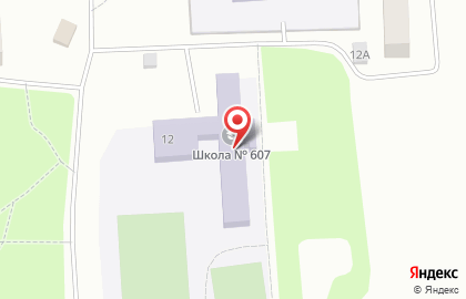 Основная общеобразовательная школа №607 с дошкольным отделением в Пушкинском районе на карте