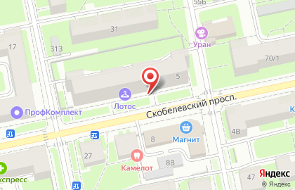 Зоомаркет на Скобелевском проспекте на карте