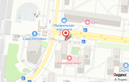 Большая медведица на Южно-Моравской улице на карте