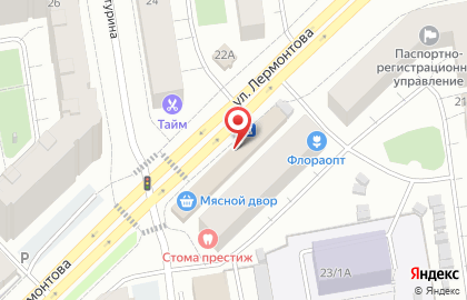 Скиф на улице Лермонтова на карте