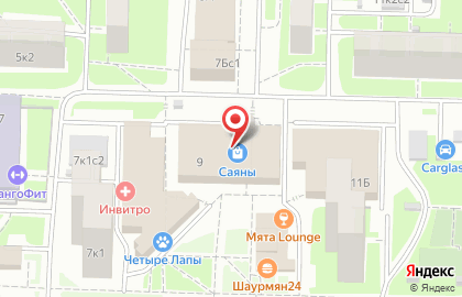 Магазин цифровой техники DNS на Саянской улице на карте
