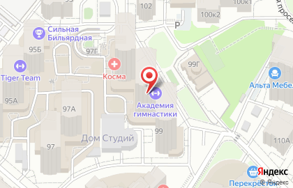 Авторская студия танца на пилоне и акробатики Анны Пророковой Pro Dance в Октябрьском районе на карте