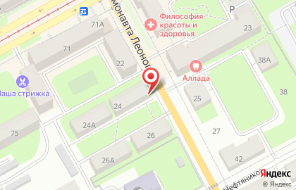 Продовольственный магазин на улице Космонавта Леонова на карте
