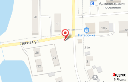 Магазин хозяйственных товаров 1000 мелочей на улице Ленина на карте