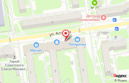 Магазин зоотоваров Зверье Мое в Пскове на карте