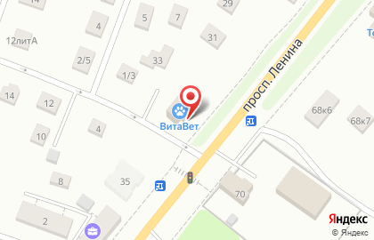 Ветеринарная клиника ВитаВет на Боровой улице в Красном на карте