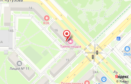 Фирменный магазин Премьер на улице Кутузова на карте