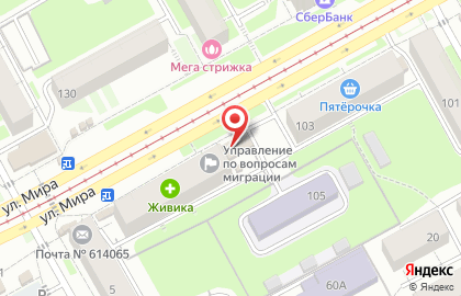 Мясной магазин в Перми на карте