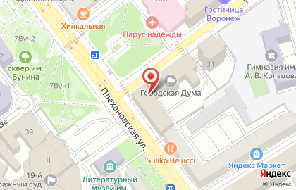Гостиница Дон в Воронеже на карте