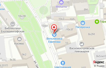 Ветеринарная клиника доктора А.Н. Ефимова на улице Циолковского на карте