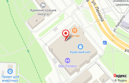 Магазин профессиональной косметики Матрёшка на улице Ленина на карте