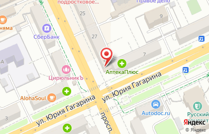 Магазин Мир аквариумов на проспекте Ленина на карте