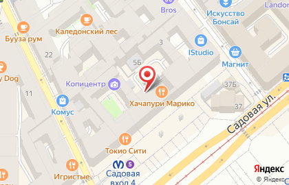 Ирис на Сенной площади на карте