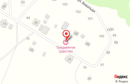 Русская баня на дровах Тридевятое Царство на карте