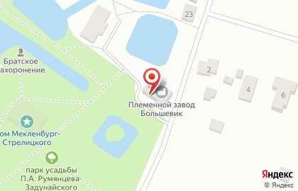 Продуктовый магазин, ЗАО Большевик на карте