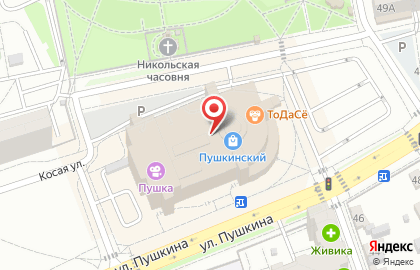 Обувной магазин Ecco на улице Пушкина на карте
