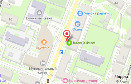 Ортопедический салон Кладовая здоровья на Большой Московской улице на карте
