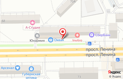 Рыбный магазин Океан на проспекте Ленина на карте