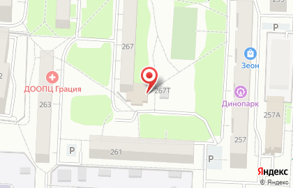 Продовольственный магазин Тюльпан на карте